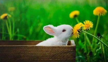 投资中国|阿法拉伐:在华深耕超40年 持续深化投资布局