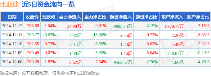 股票行情快报：比亚迪（002594）12月12日主力资金净买入24.98万元