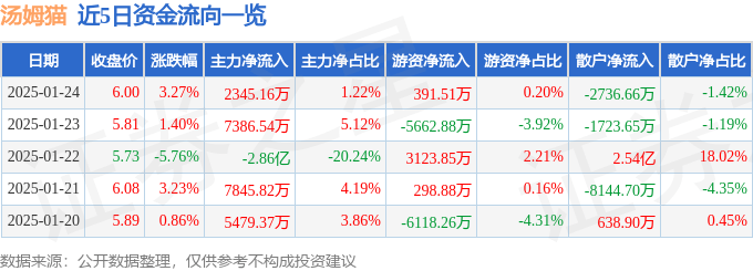 股票行情快报：汤姆猫（300459）1月24日主力资金净买入2345.16万元