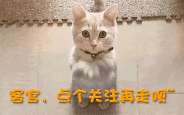 4500亿！紫金矿业，爆了！