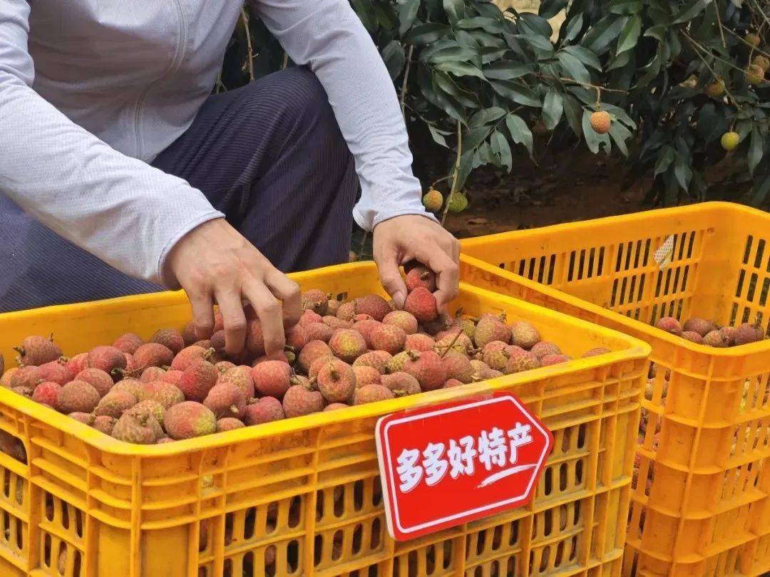拼多多千亿解题新消费