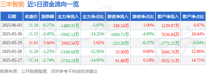 股票行情快报：三丰智能（300276）6月3日主力资金净卖出1489.31万元