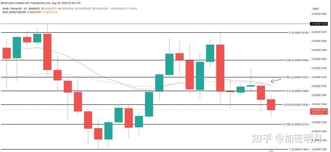 shib币(shib币最新消息)