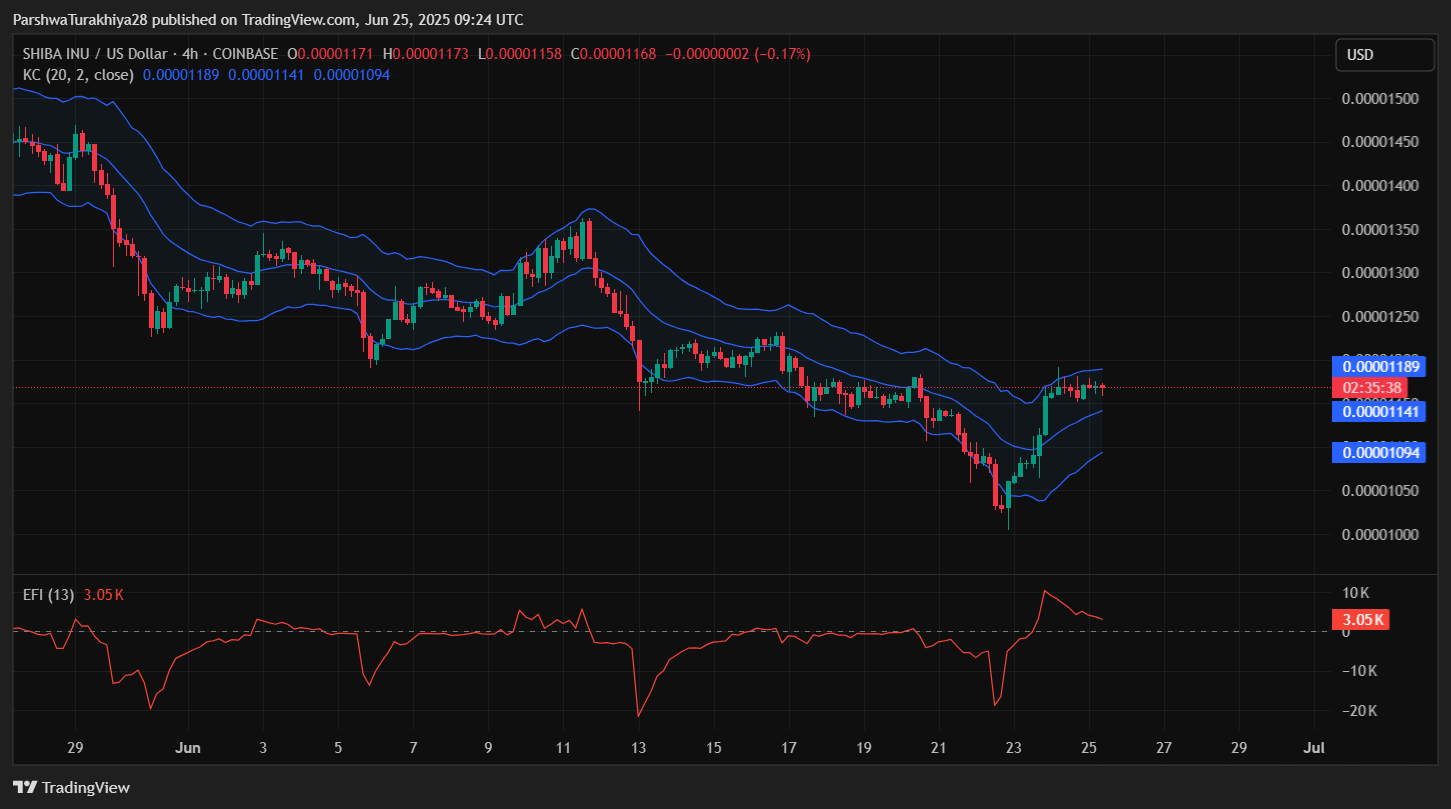 shib币(shib币2025年11月能到哪)