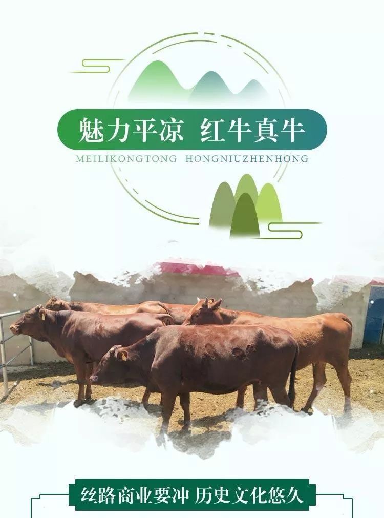 红牛交易所(红牛交易所app下载)