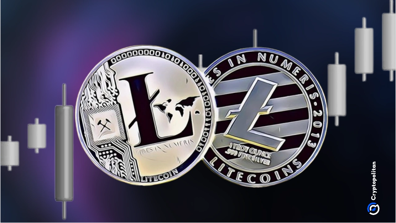 LTC-莱特币价格(LTC莱特币最新行情)