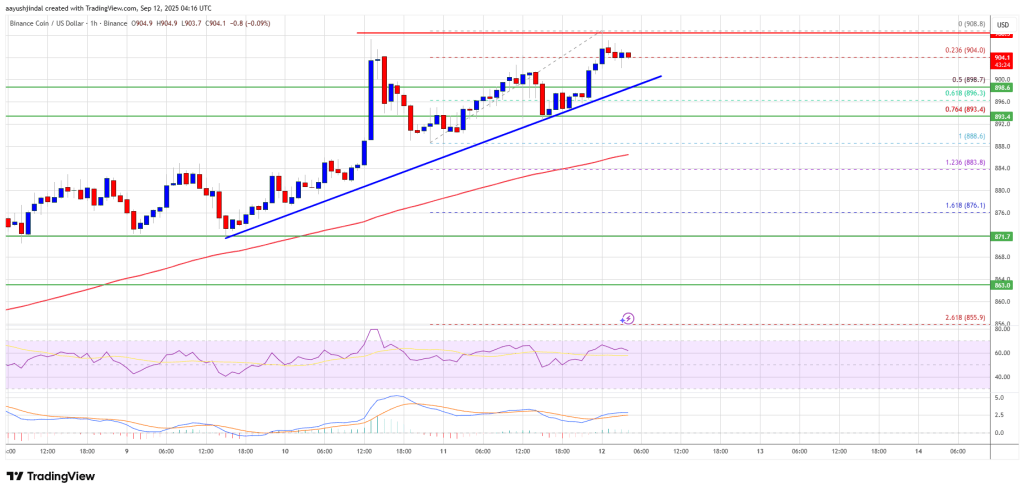 XRP行情(xrp行情中国)