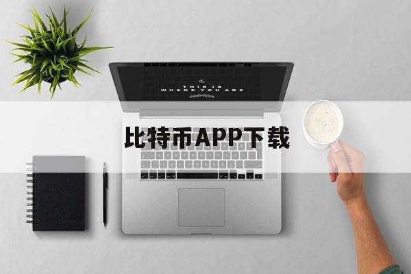 比特币APP下载(比特币app下载电脑)